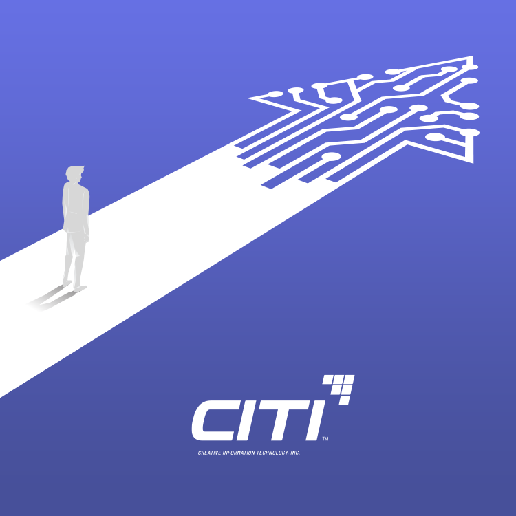 Navigating the Path to Successful IT Transformation